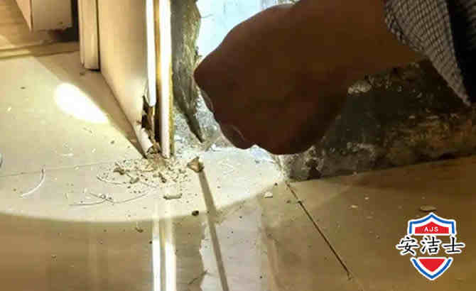 门窗墙壁白蚁防治